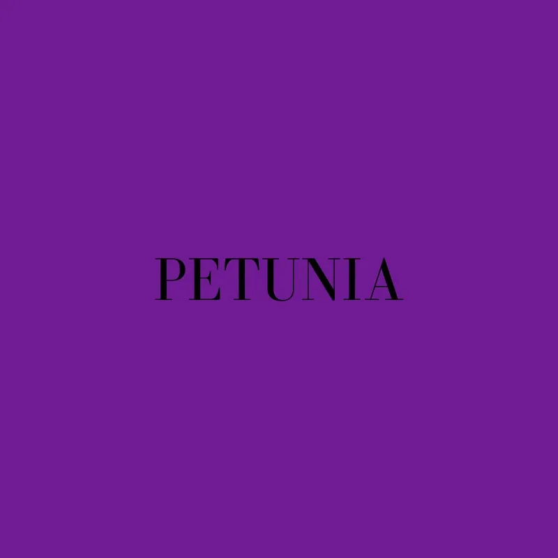 Vestido Aladina